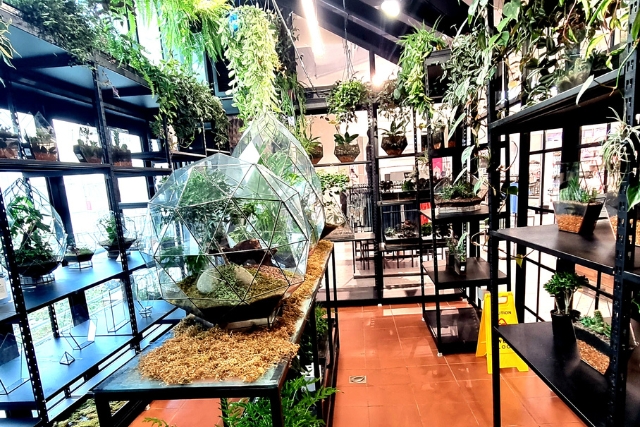 Glass Conservatories