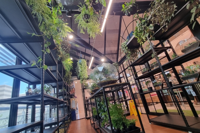 Glass Conservatories